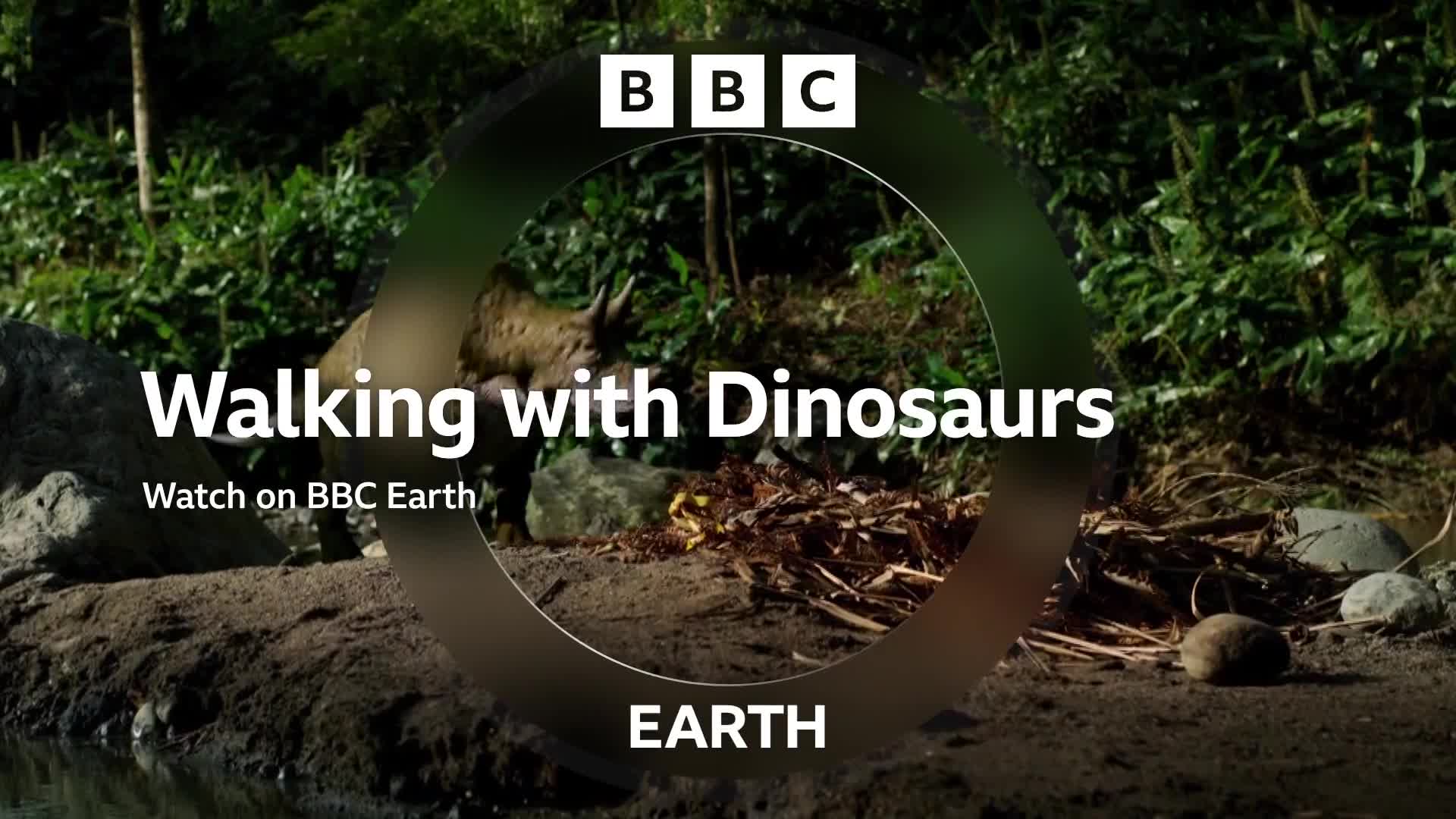 BBCEarth