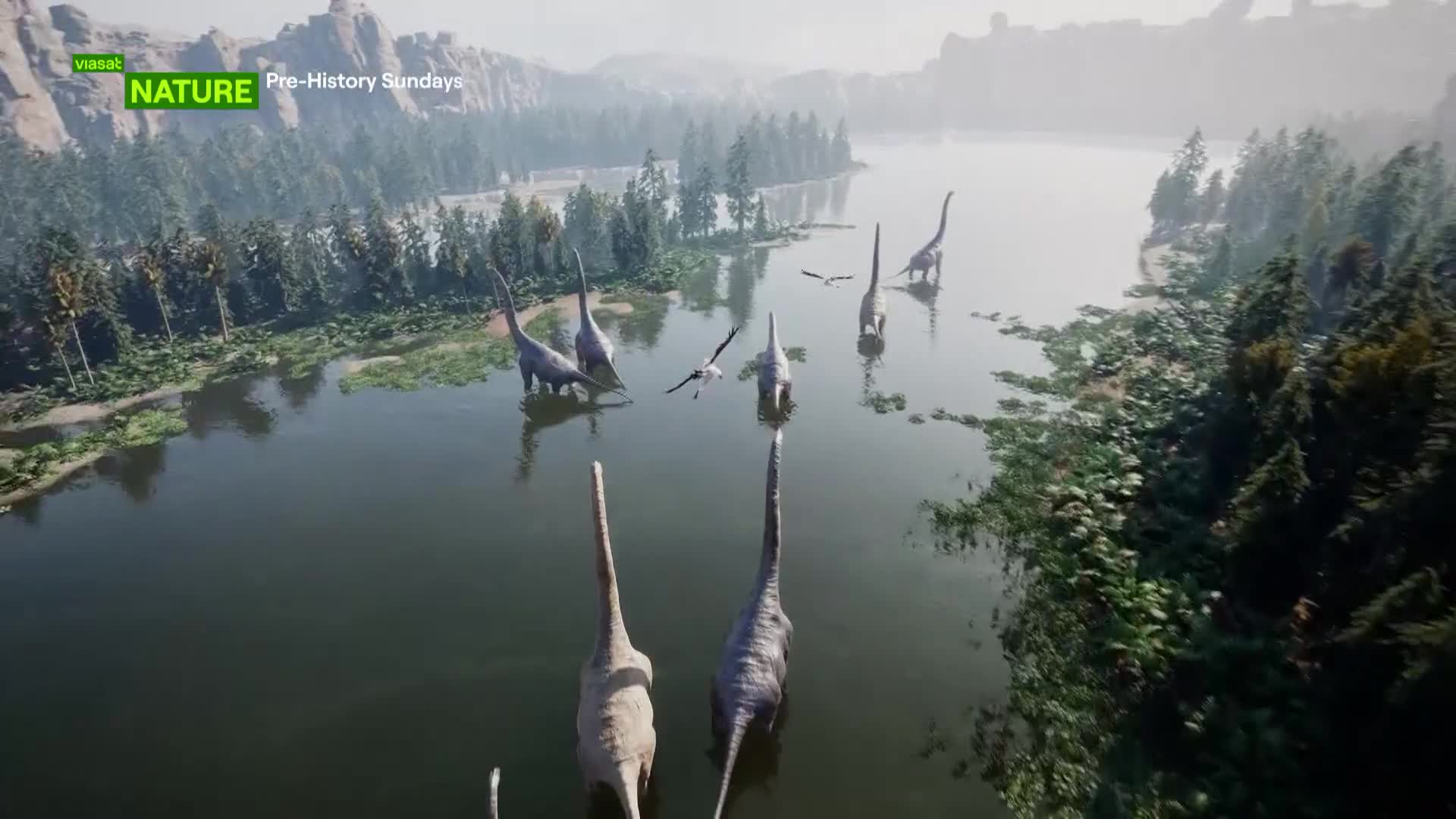 ViasatNature