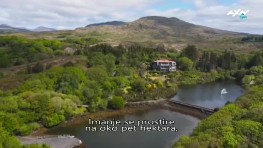 AXNSpin