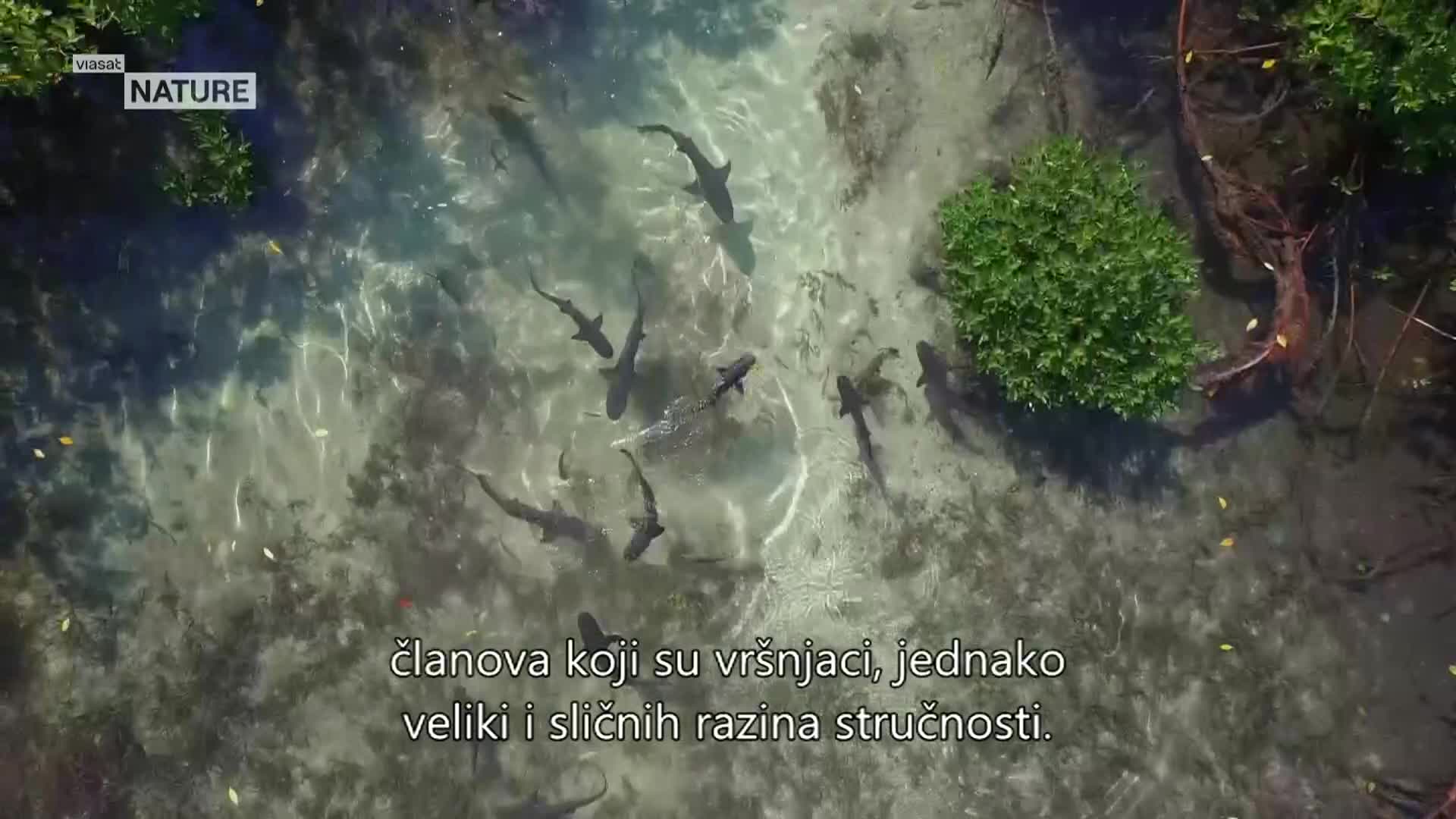 ViasatNature