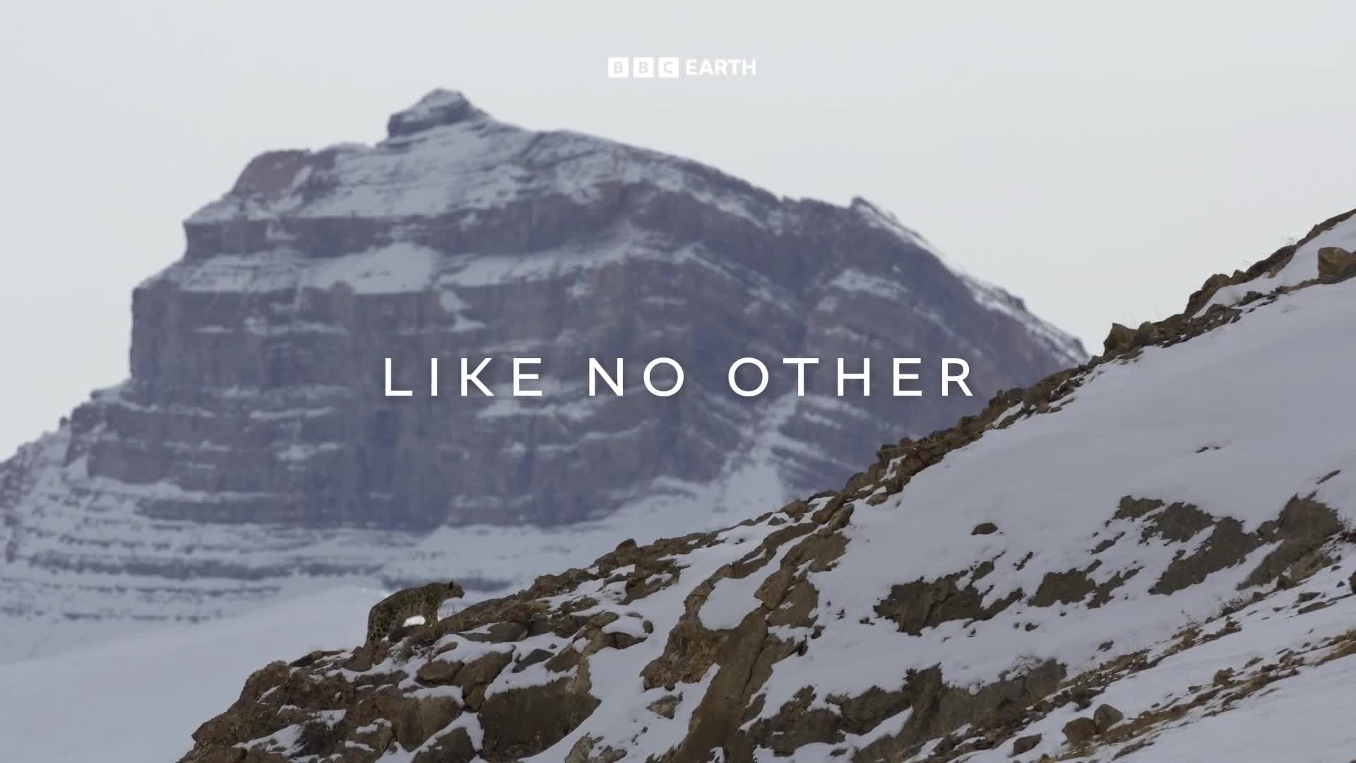 BBCEarth