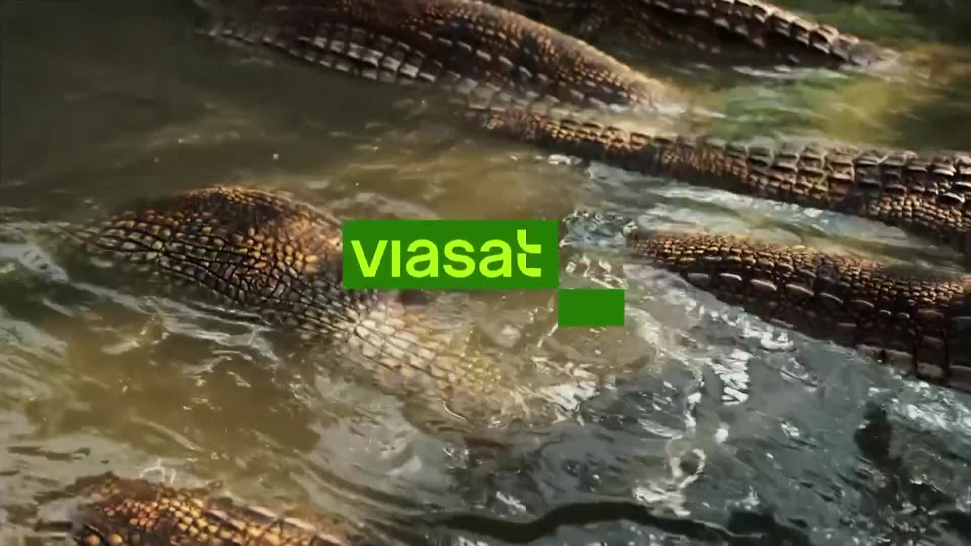 ViasatNature