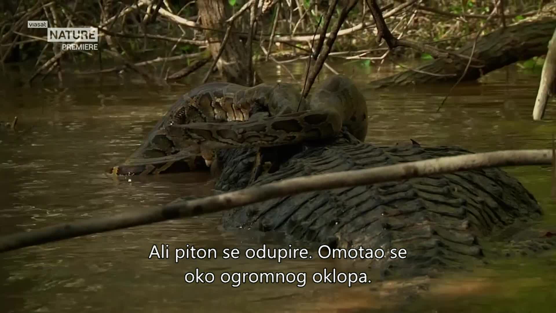 ViasatNature
