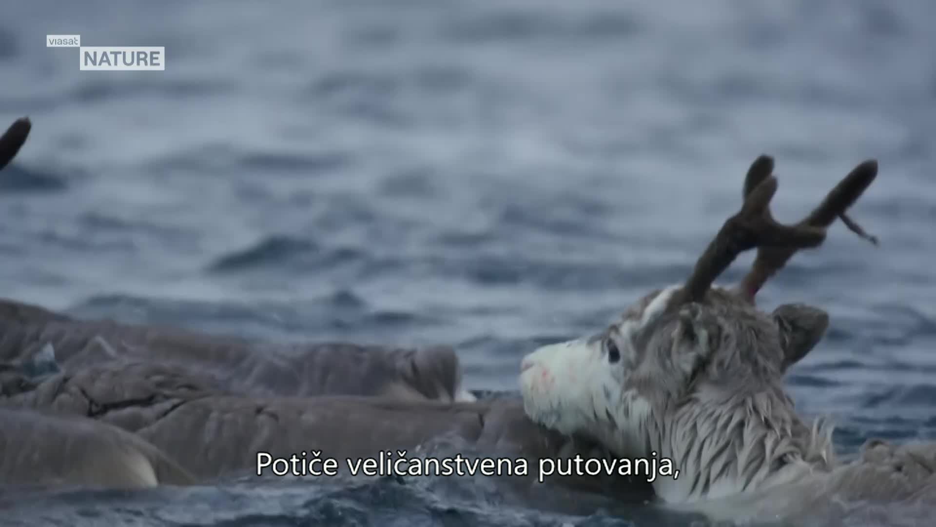 ViasatNature