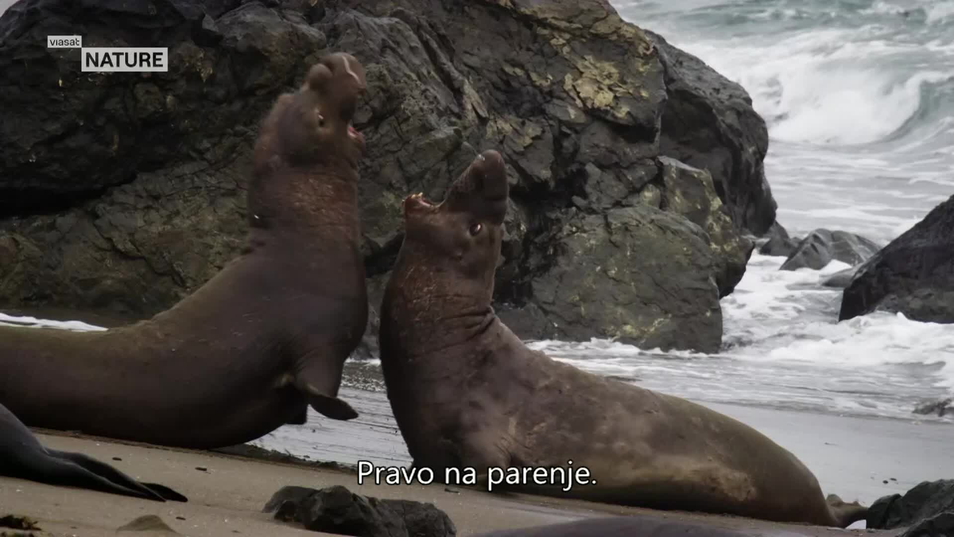 ViasatNature