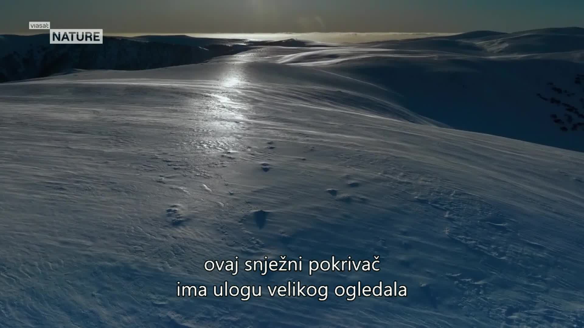 ViasatNature