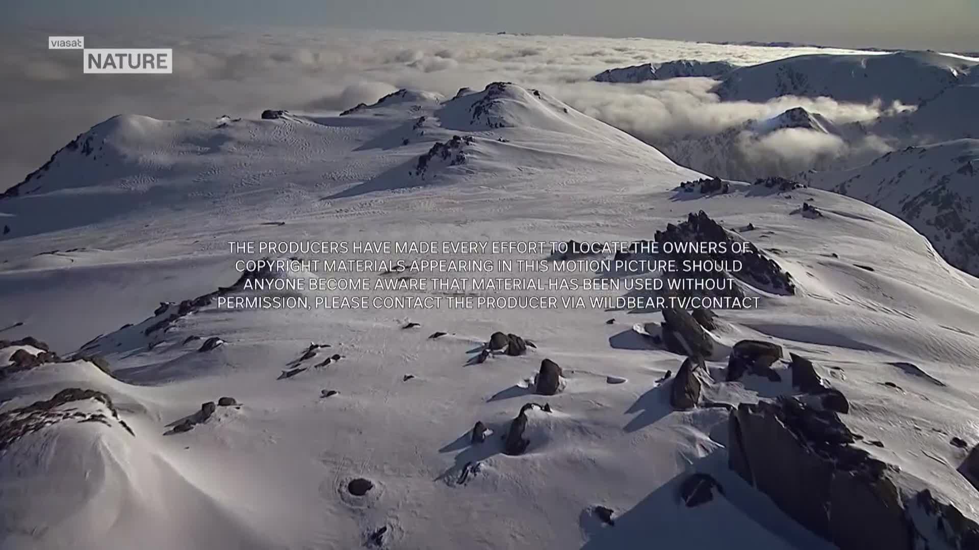 ViasatNature