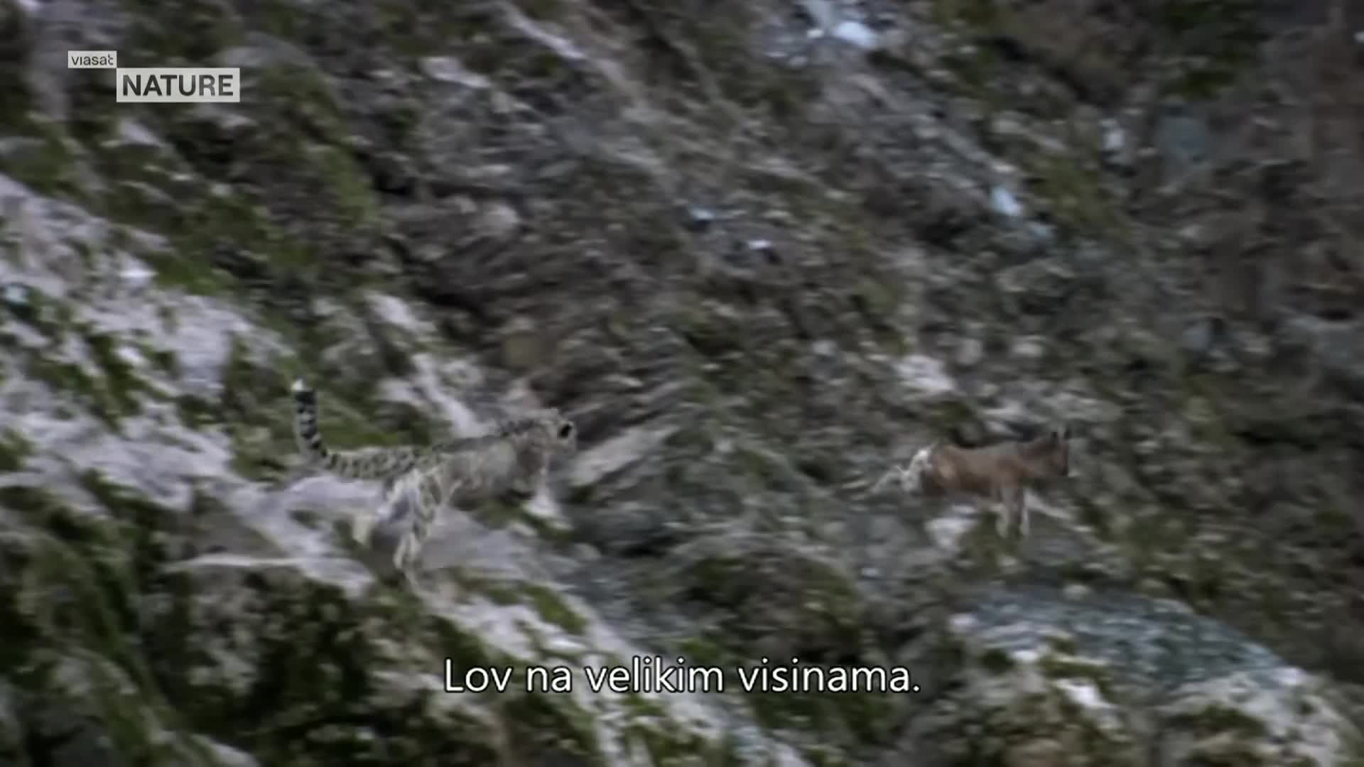 ViasatNature