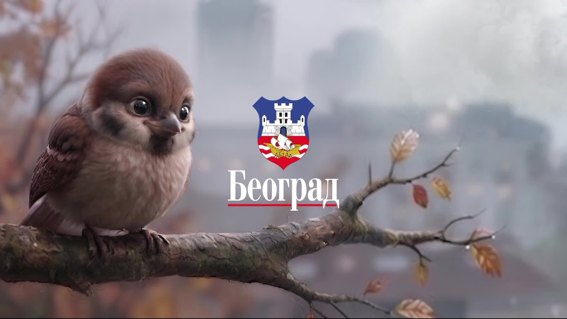 B92