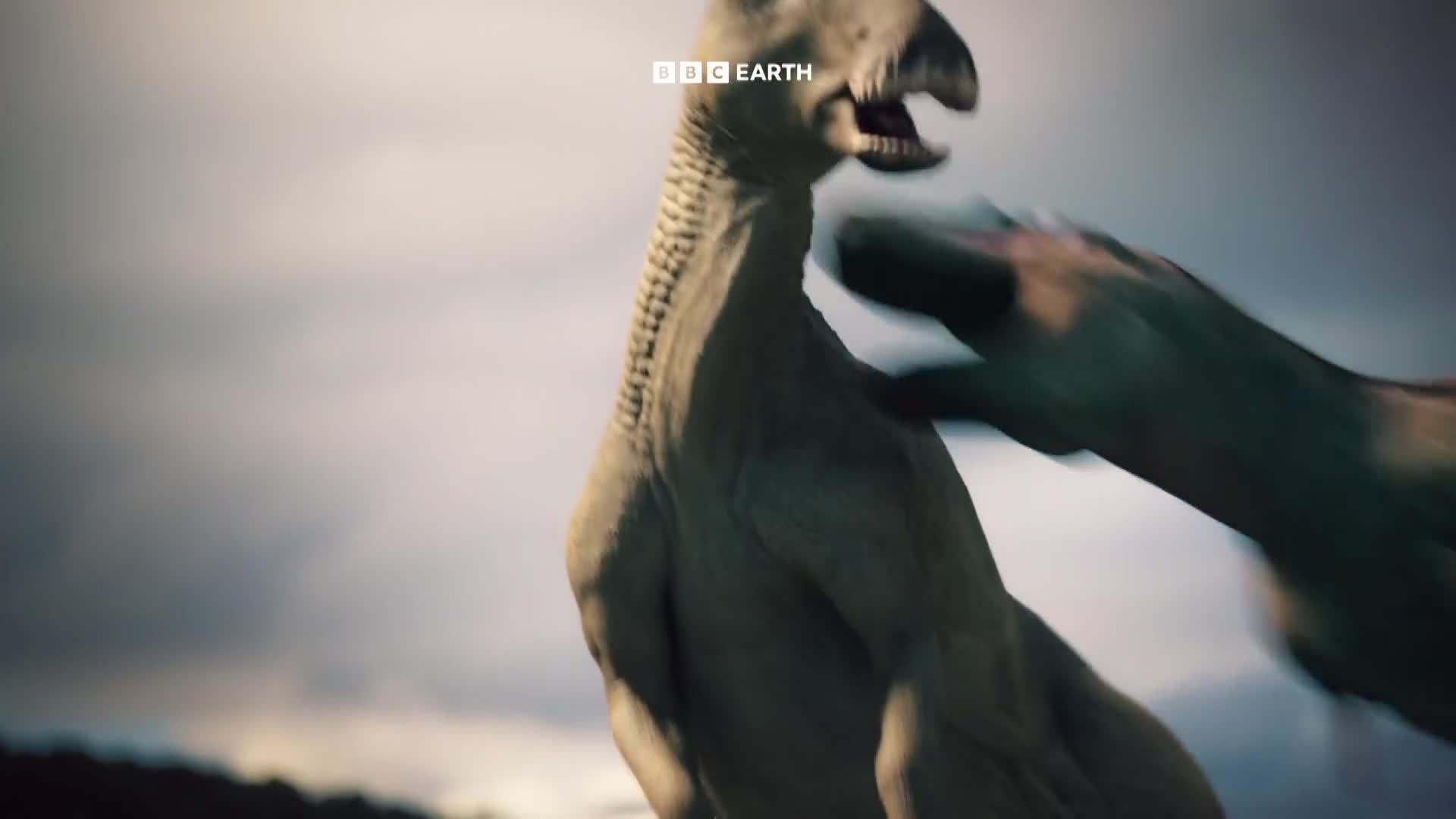 BBCEarth