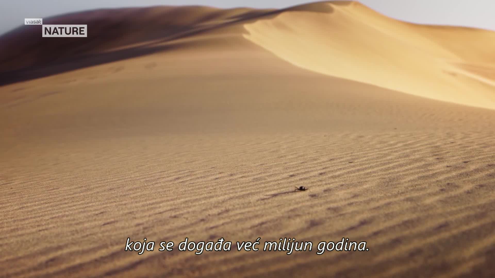 ViasatNature