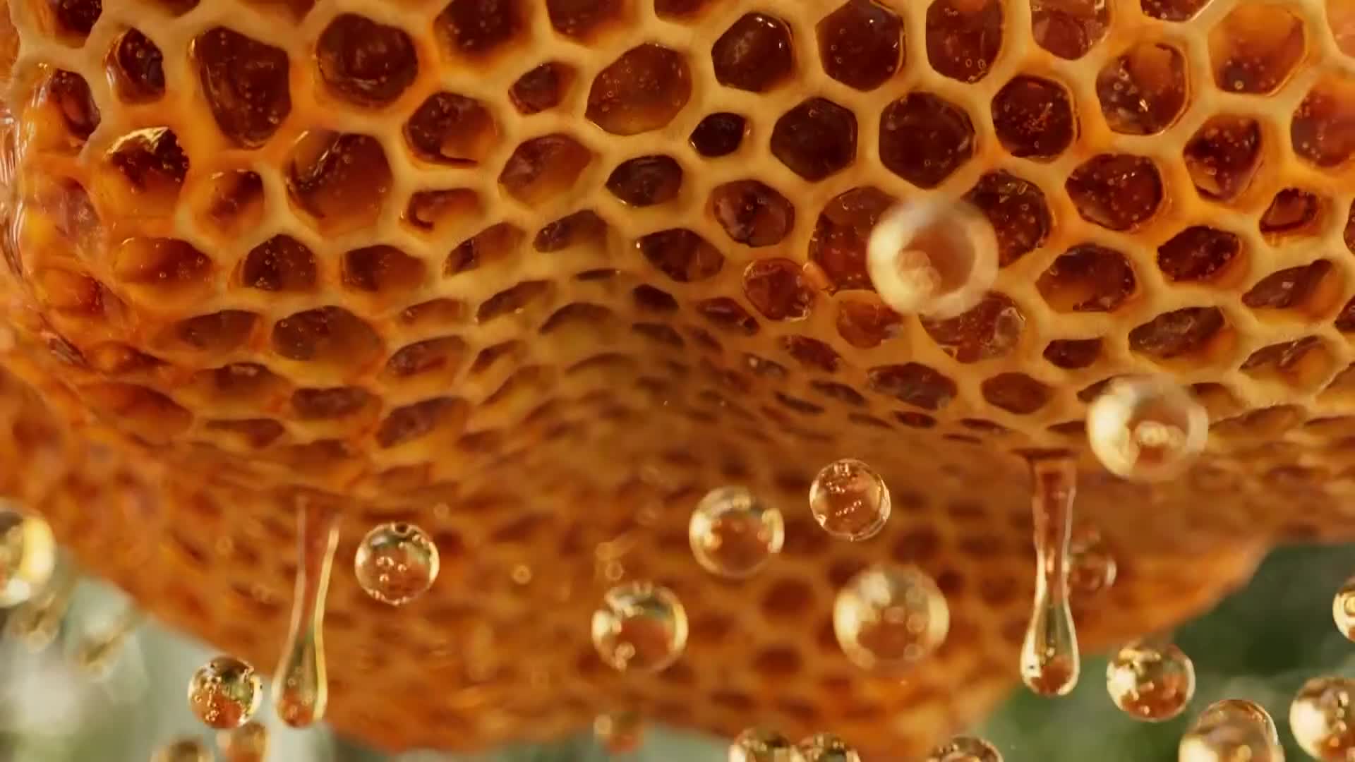 ViasatNature