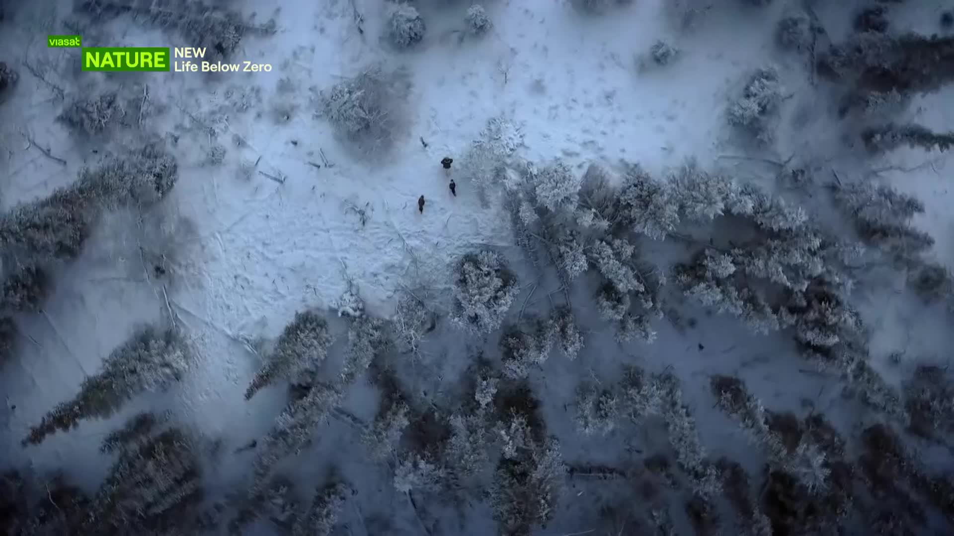 ViasatNature