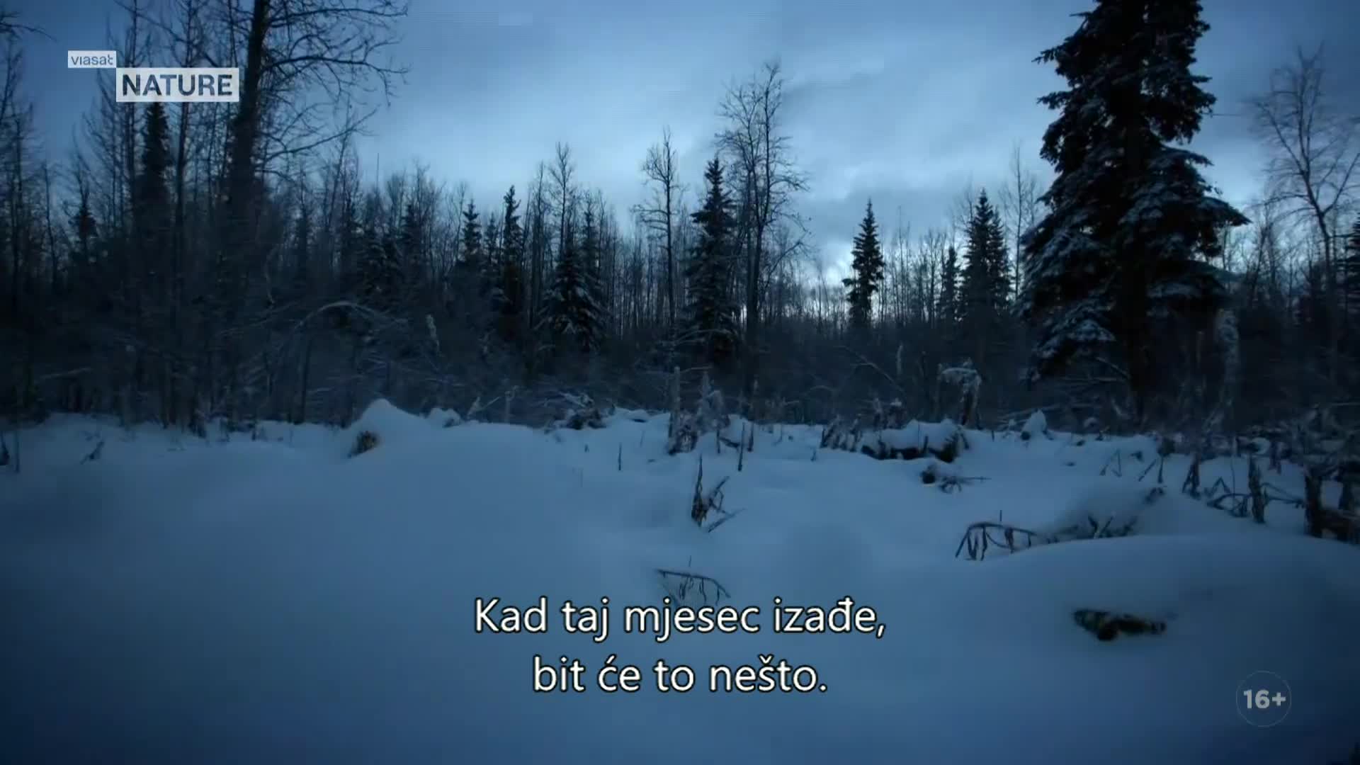 ViasatNature