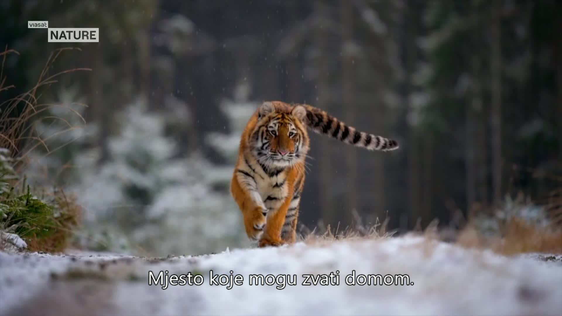 ViasatNature