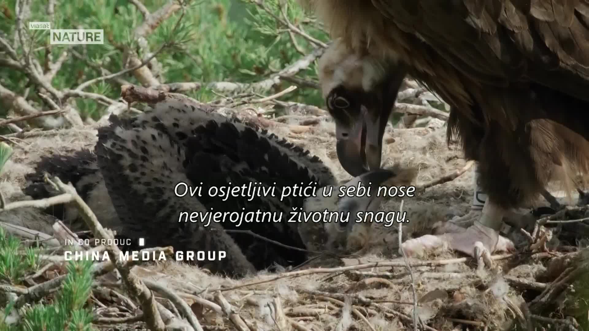 ViasatNature