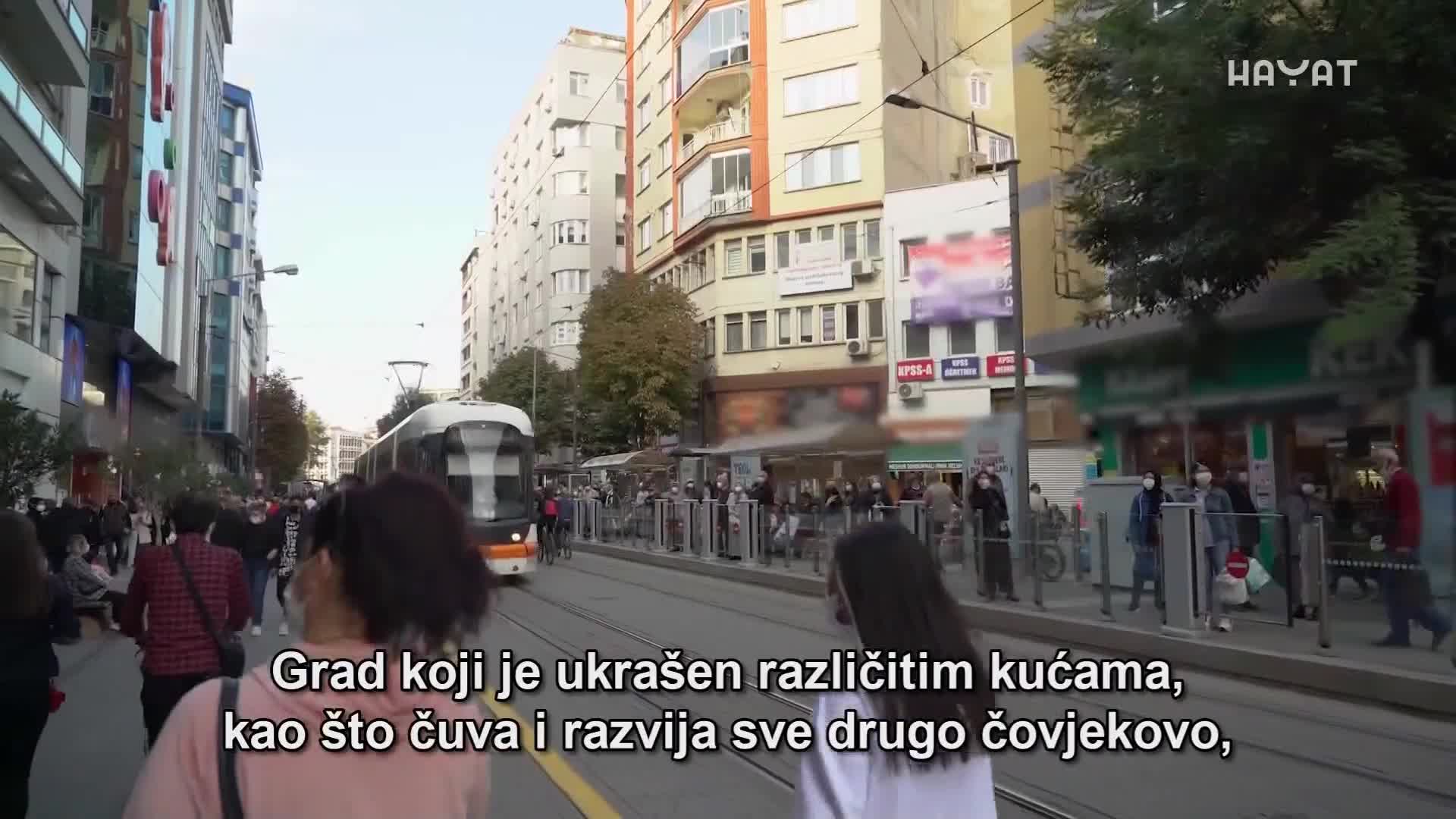 hayat