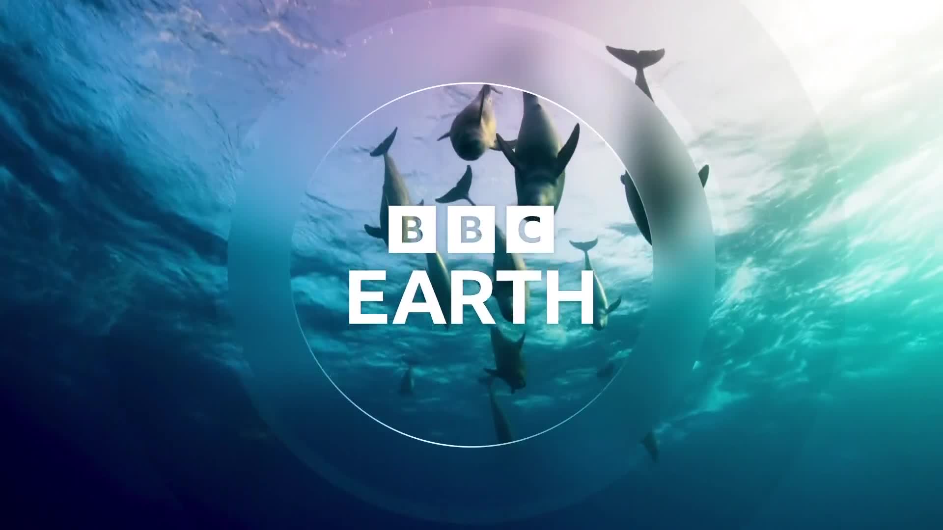 BBCEarth
