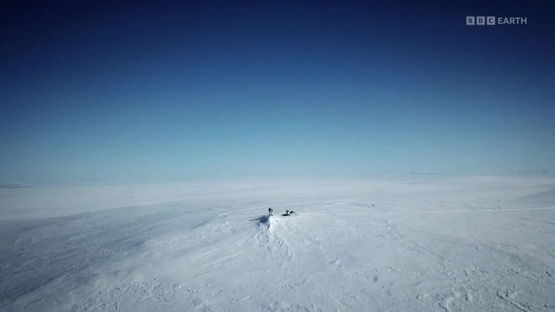 BBCEarth