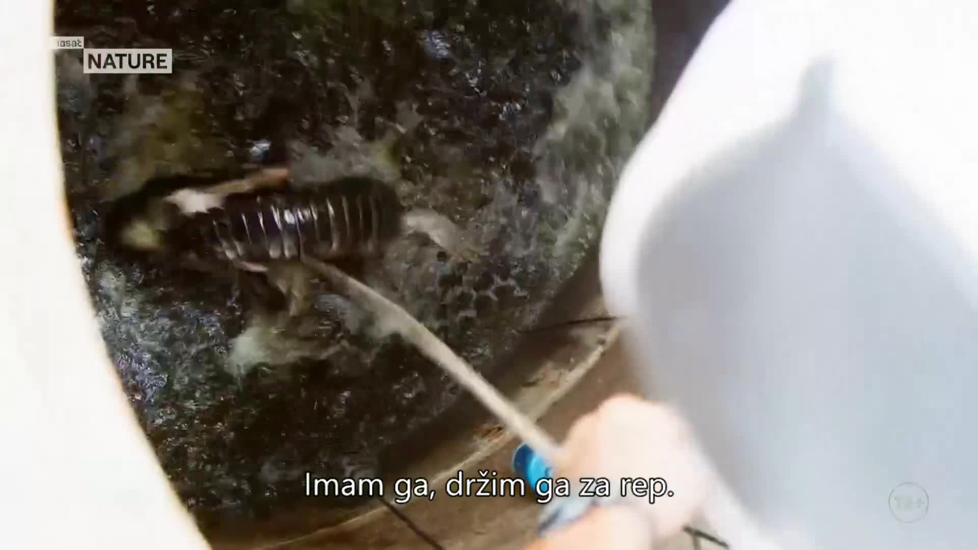 ViasatNature