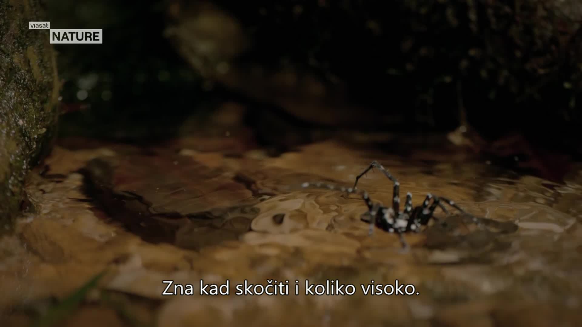 ViasatNature