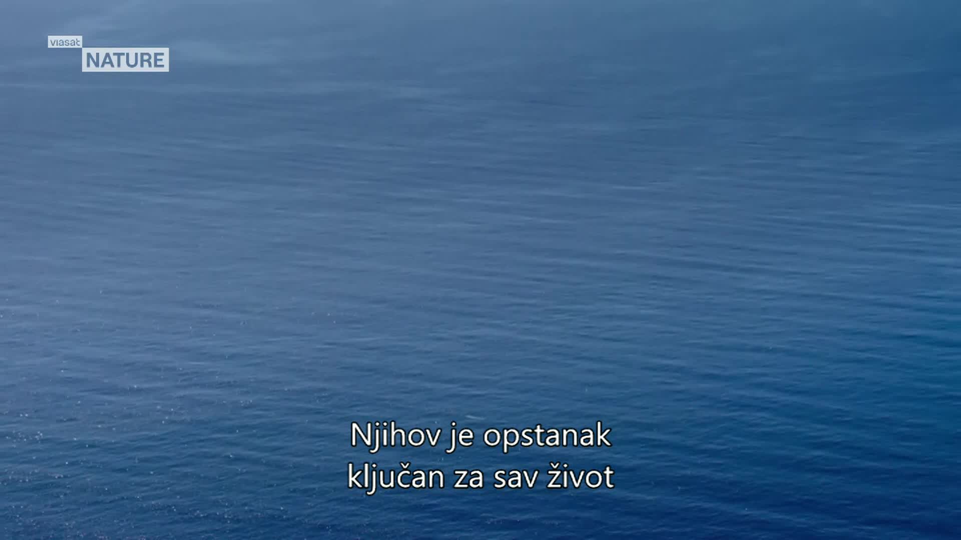 ViasatNature