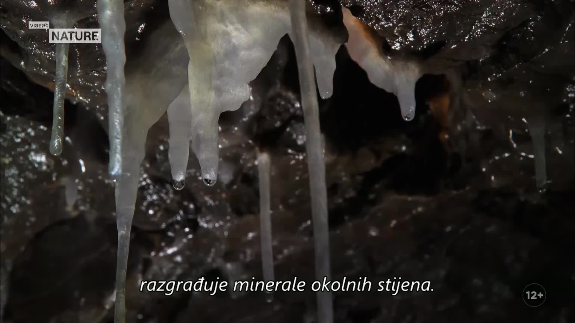 ViasatNature