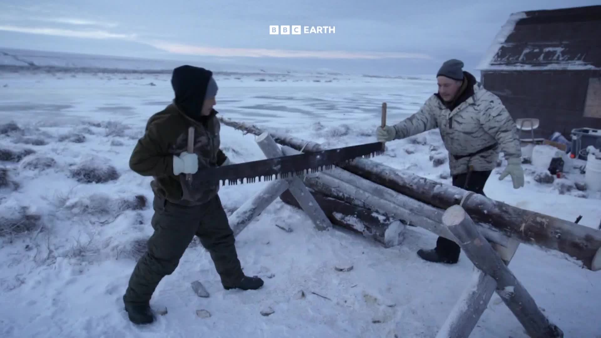 BBCEarth