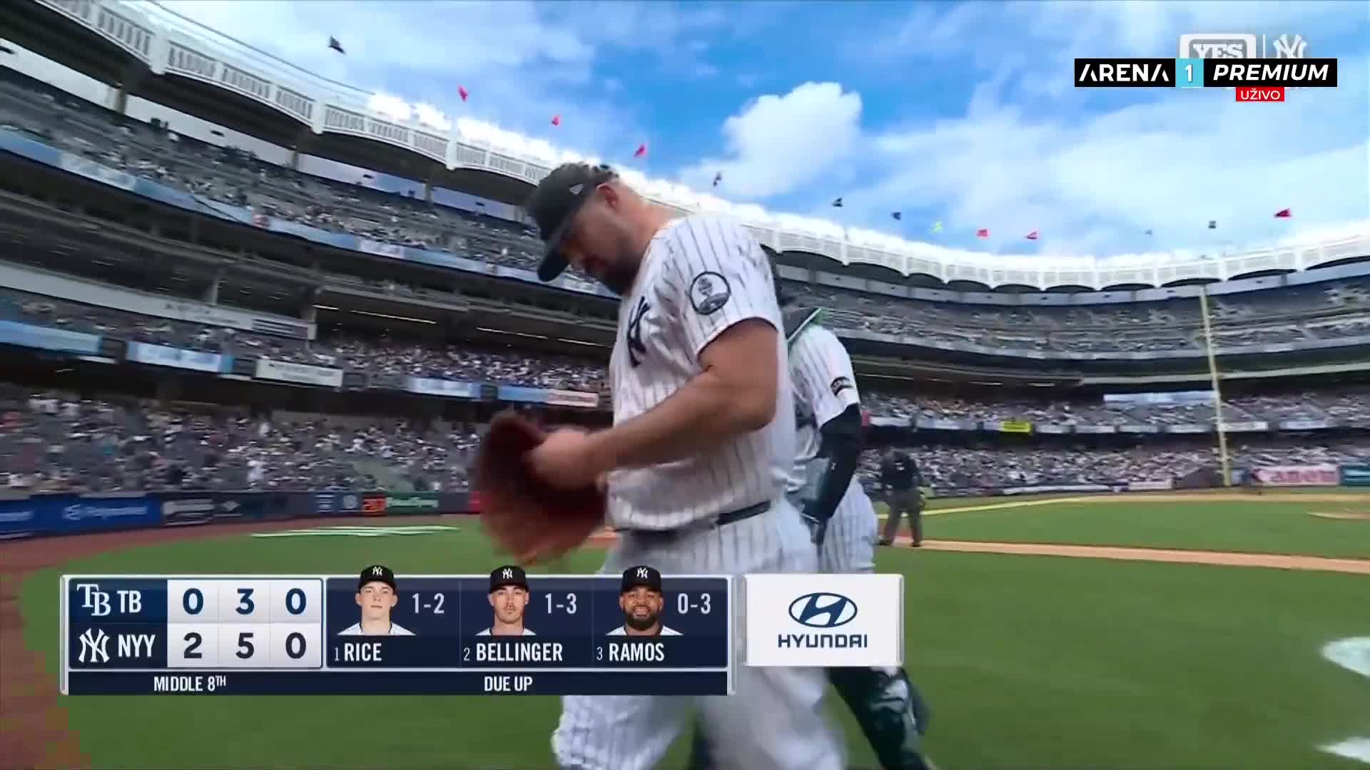 DScience