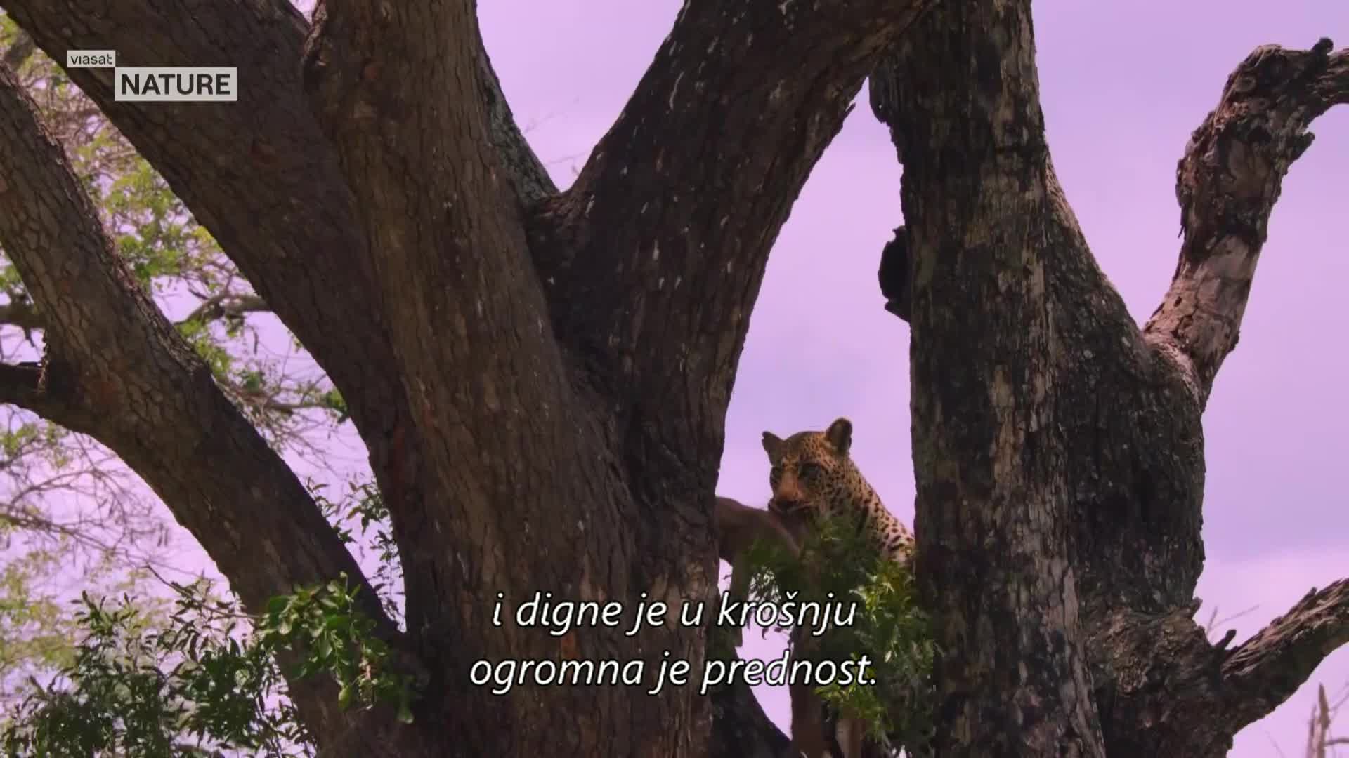 ViasatNature