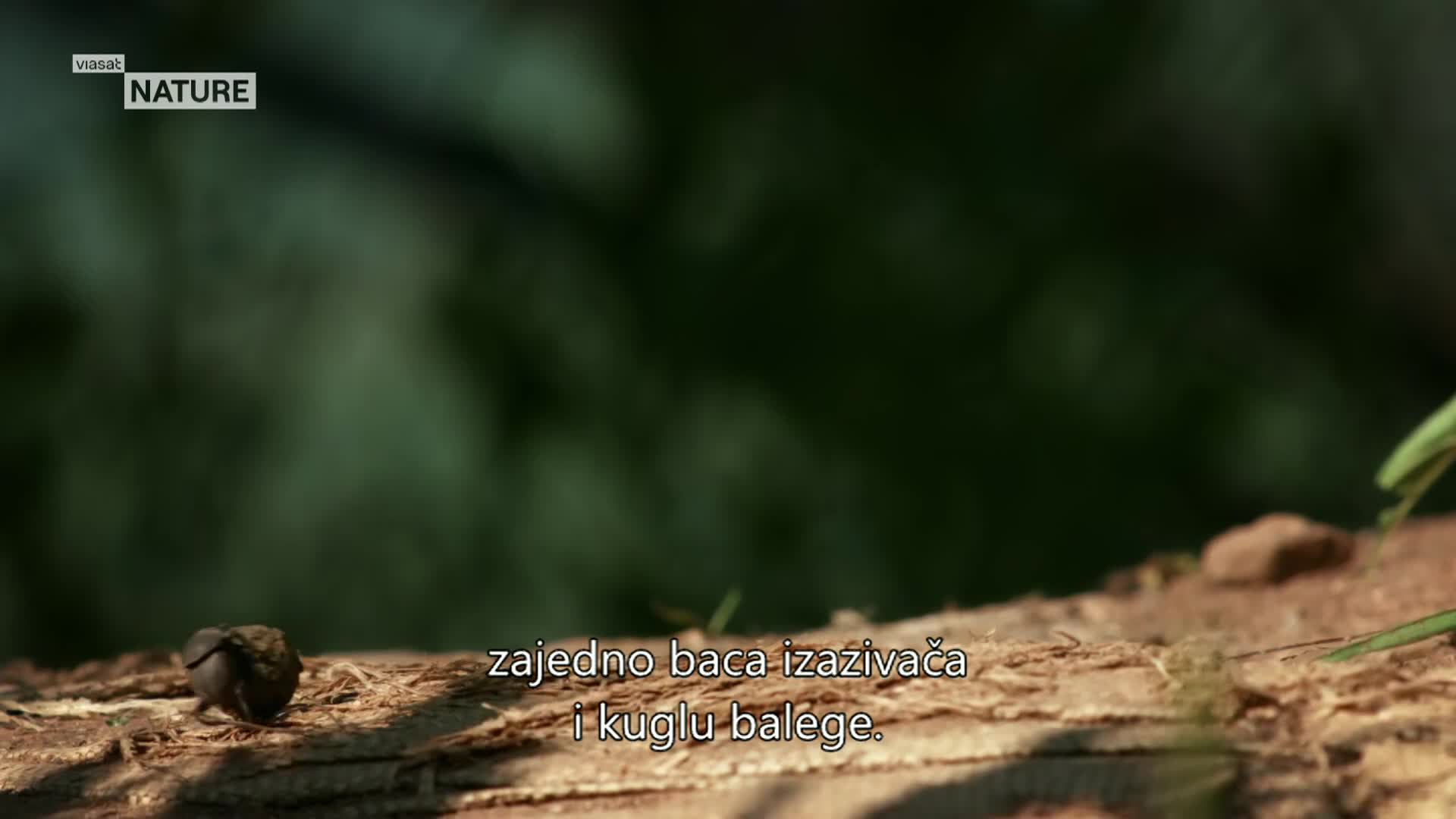 ViasatNature