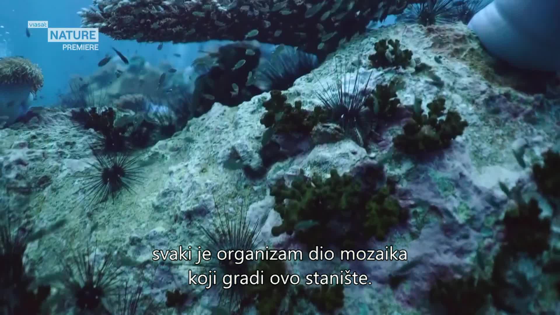 ViasatNature