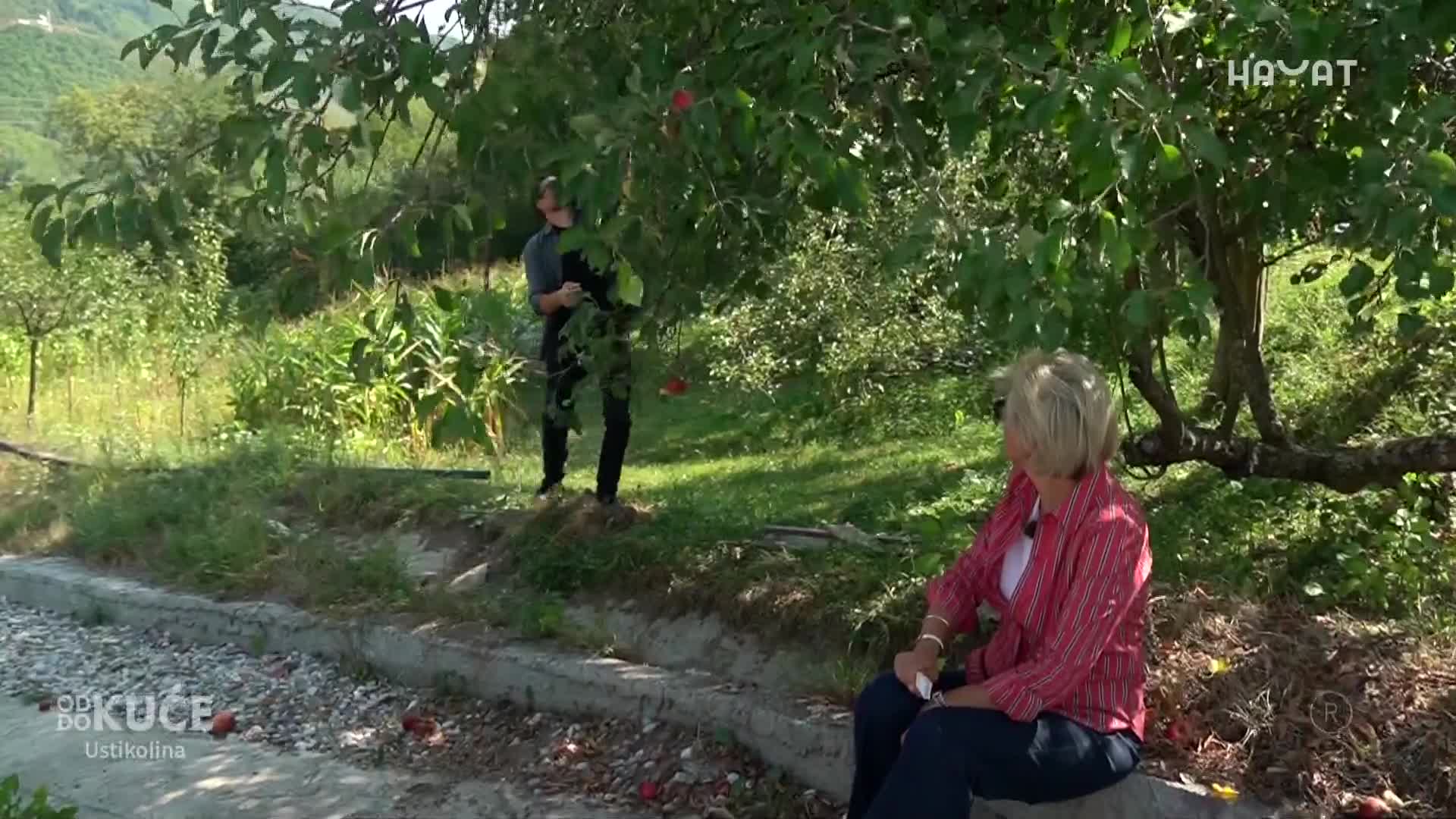 hayat