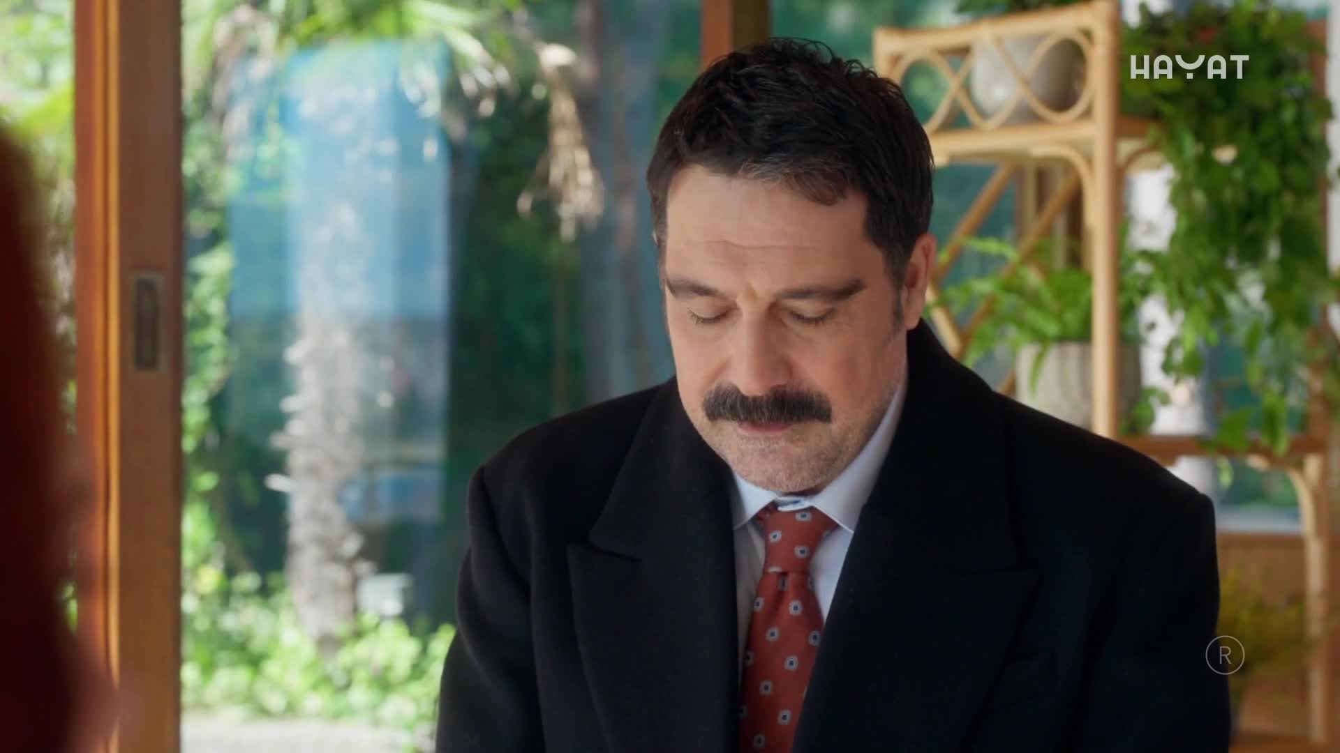 hayat