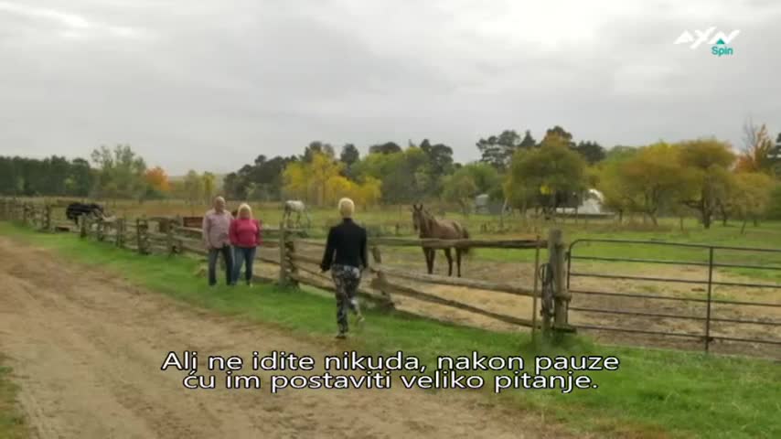 AXNSpin