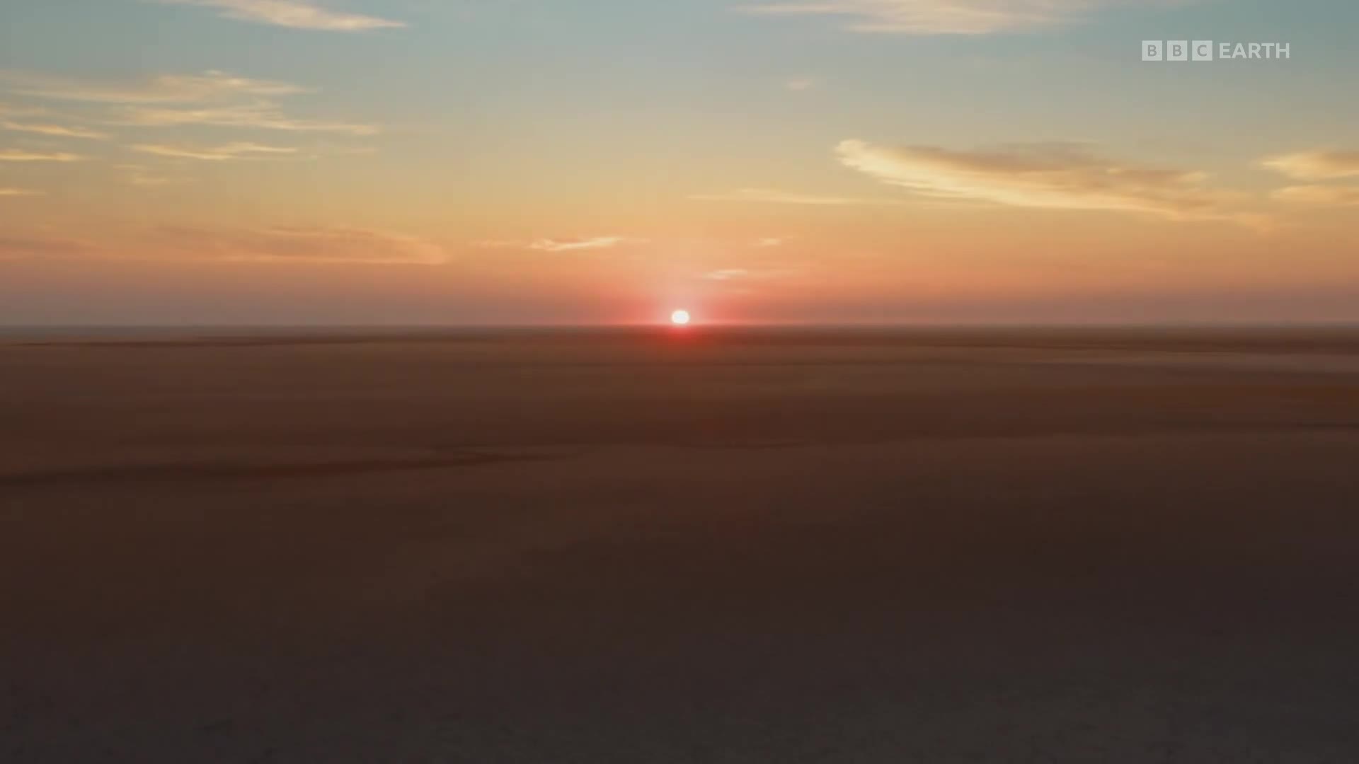 BBCEarth