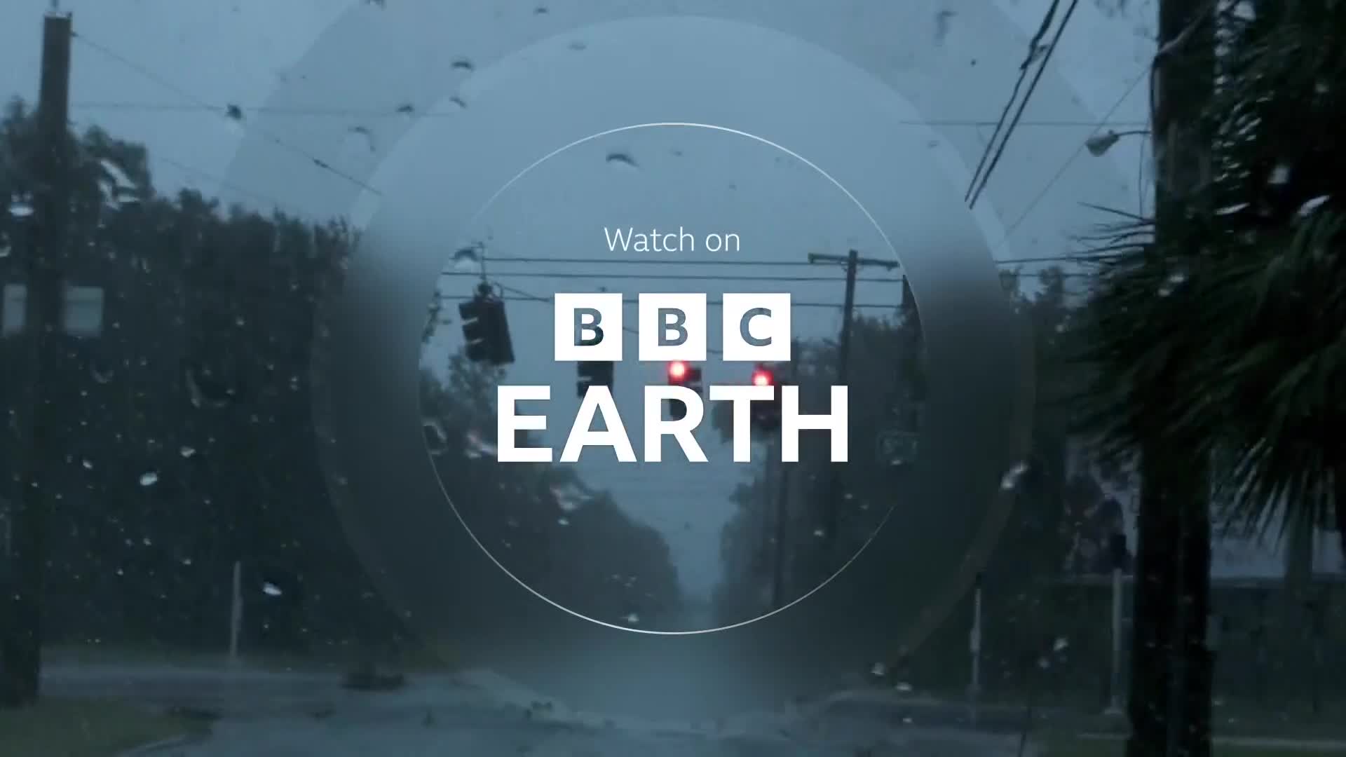 BBCEarth