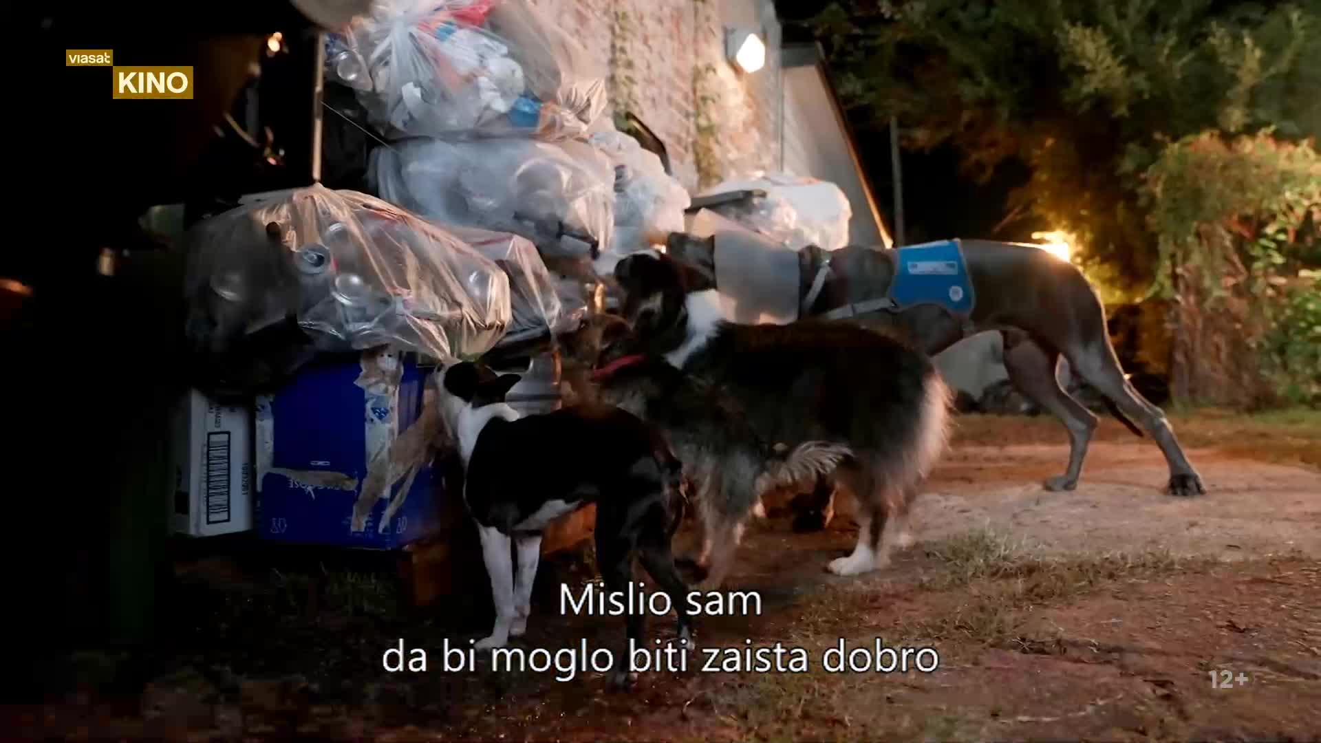 TV1000