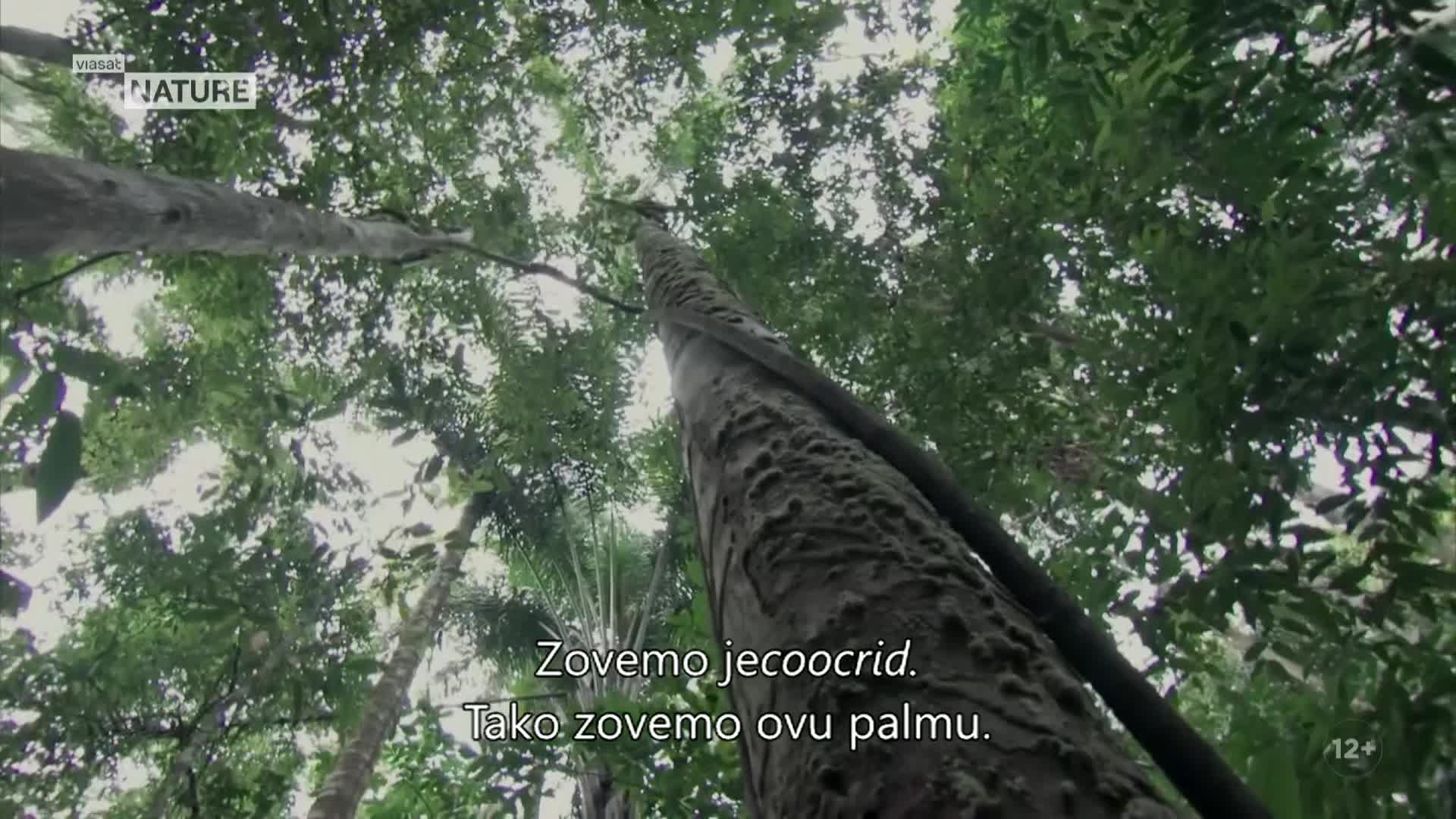 ViasatNature