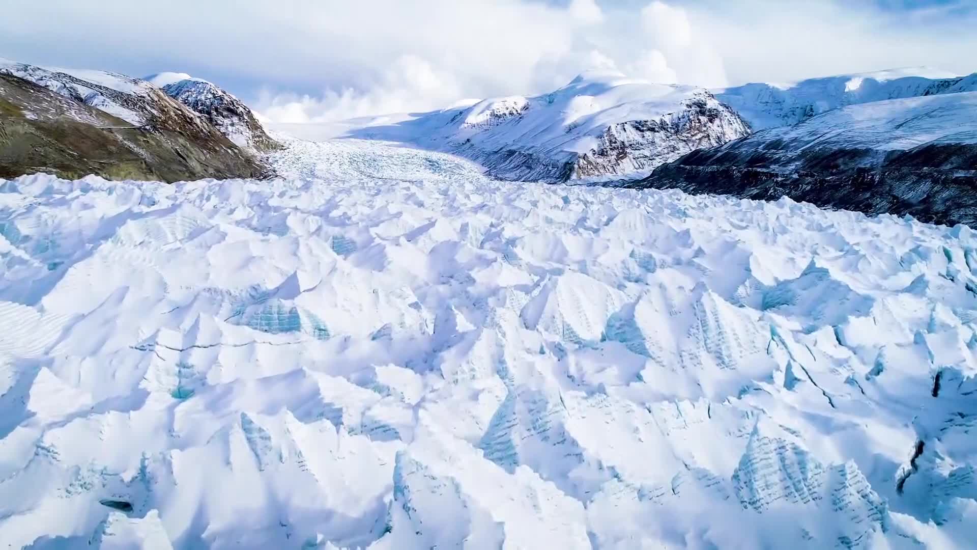 BBCEarth