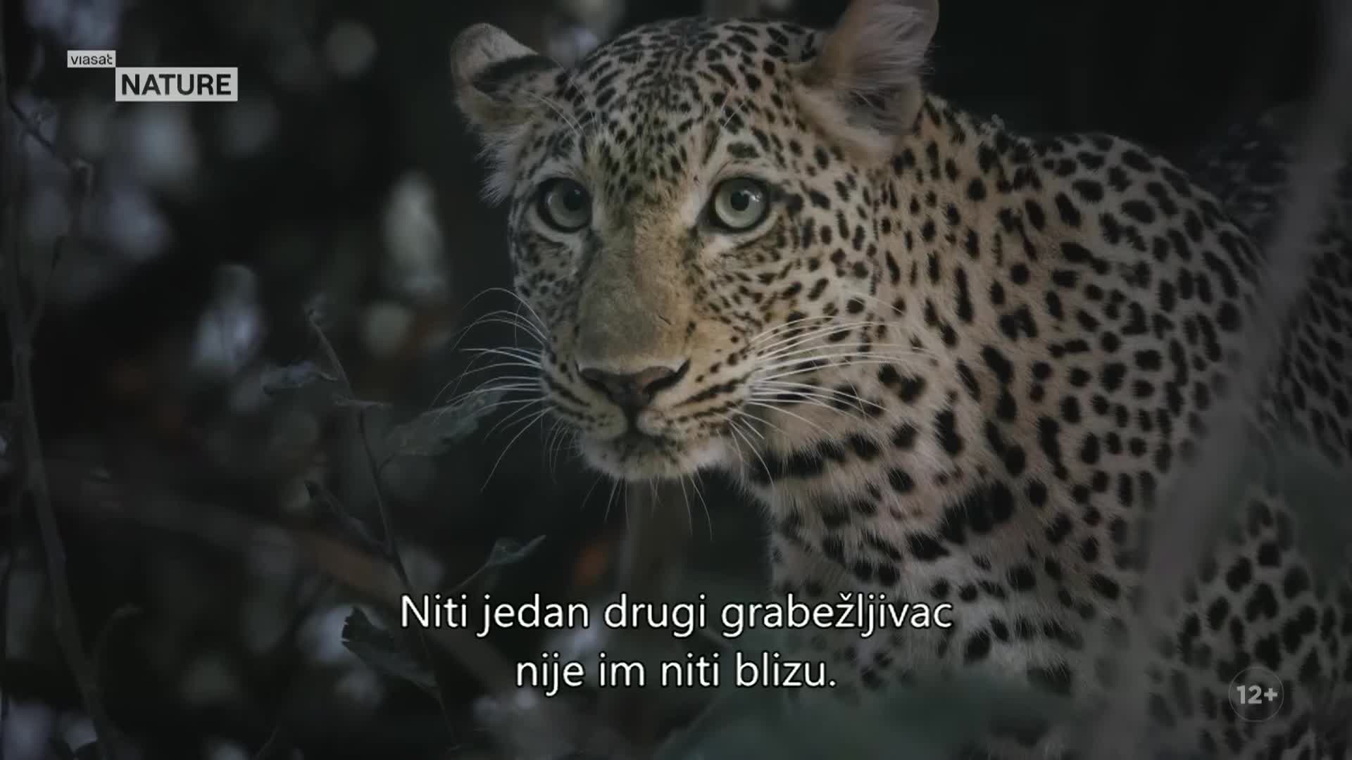ViasatNature