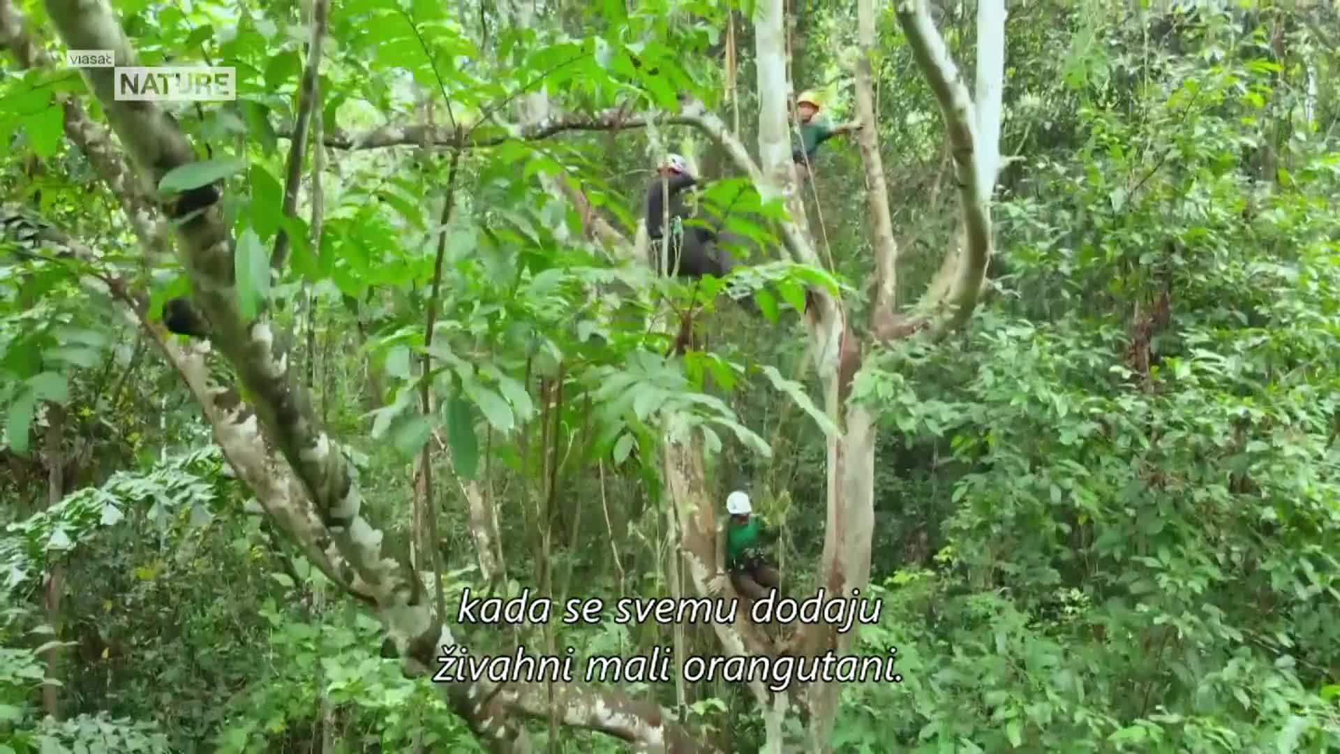 ViasatNature