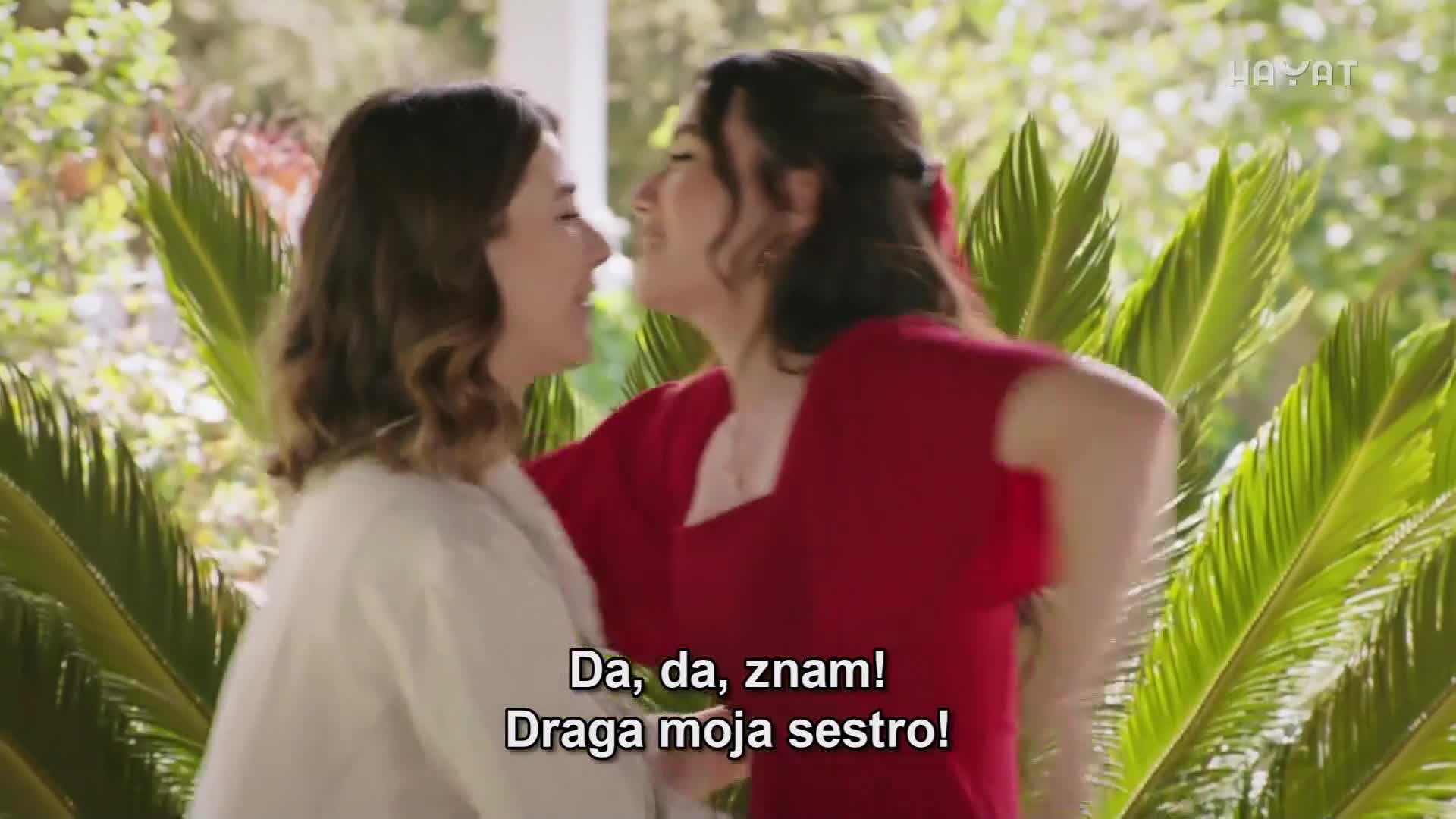 hayat