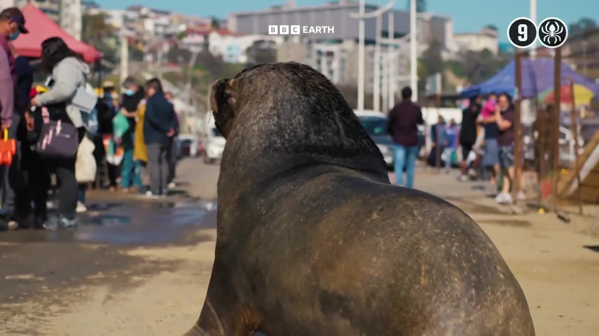BBCEarth