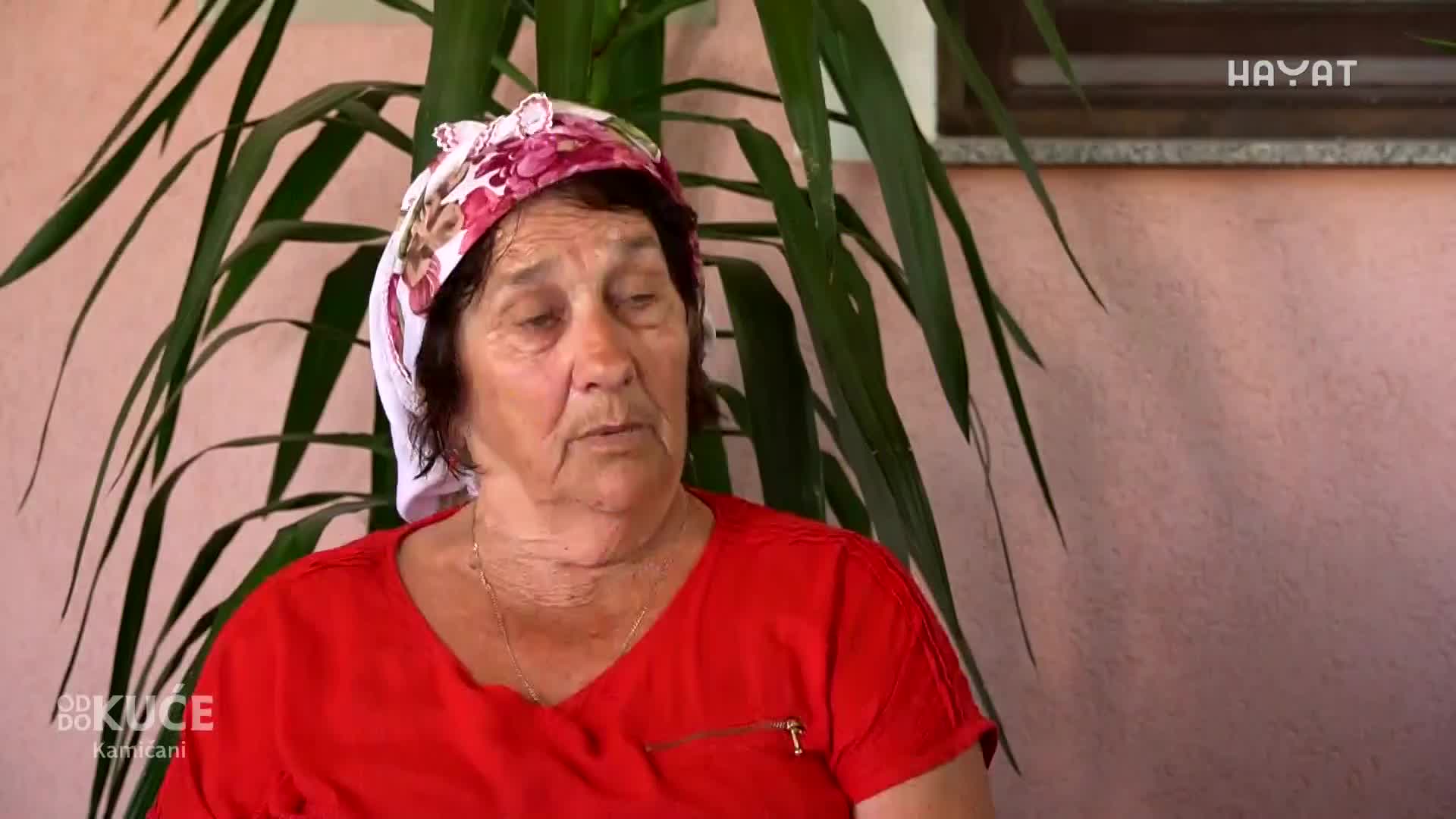 hayat