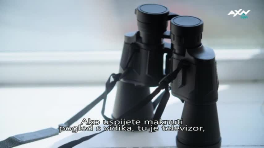 AXNSpin
