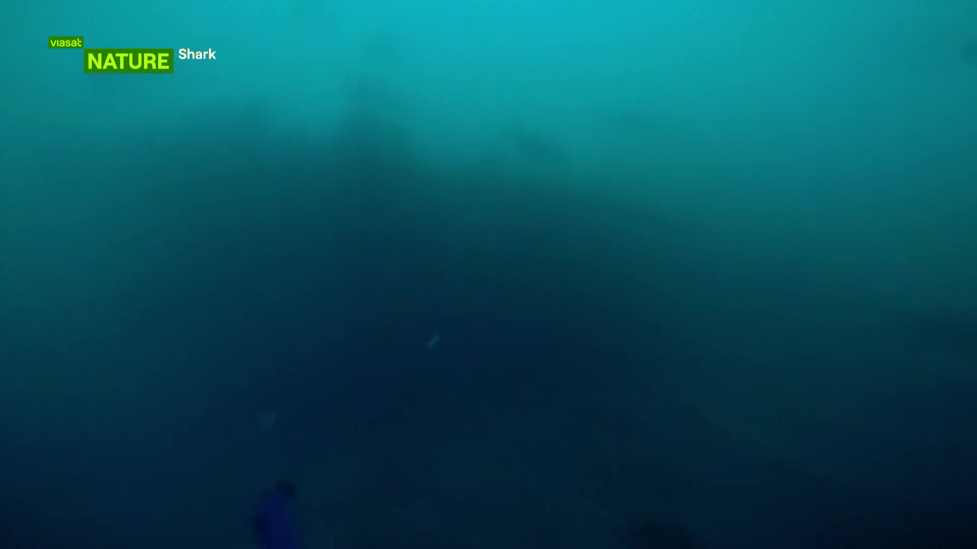 ViasatNature