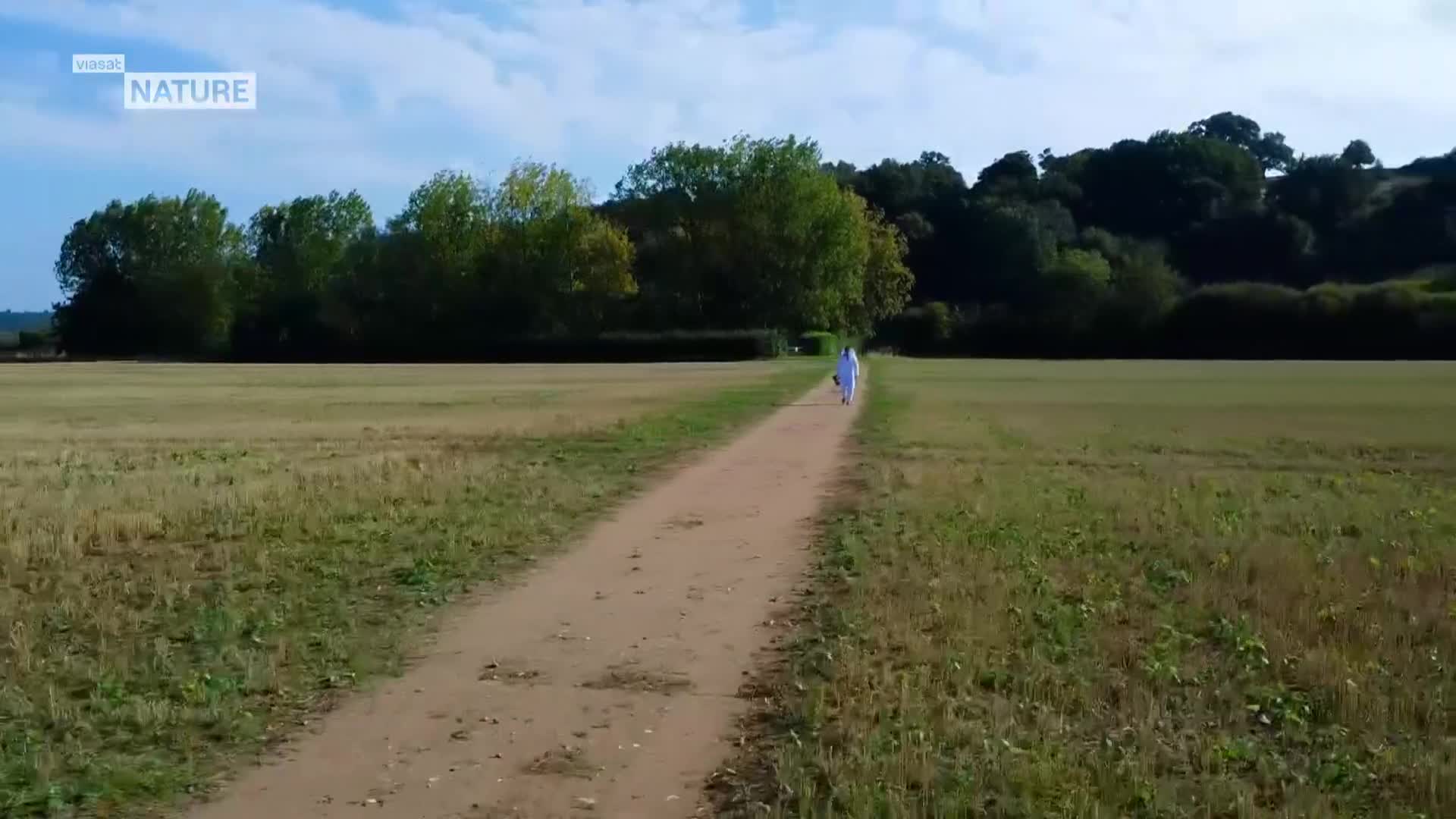 ViasatNature