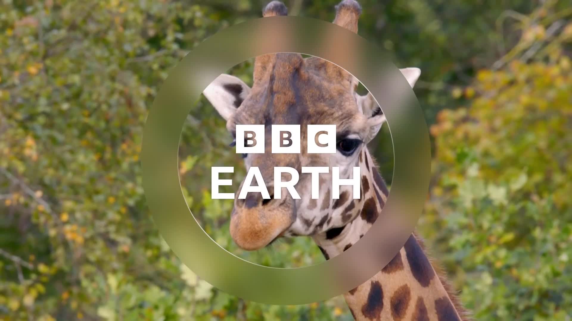 BBCEarth