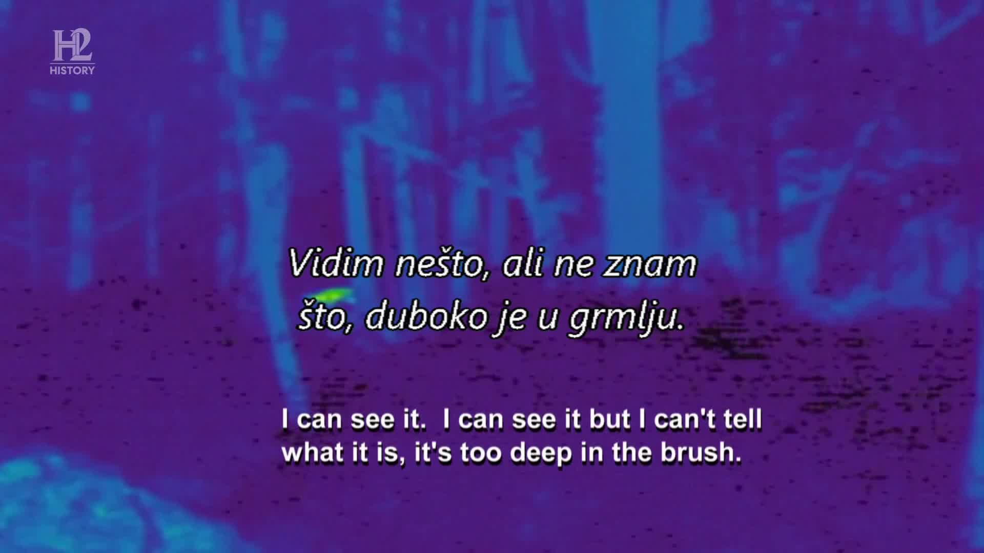 History2